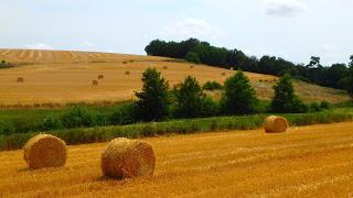 Saint-Jacques à vélo: de Vendôme à Tours, le long des rivières...