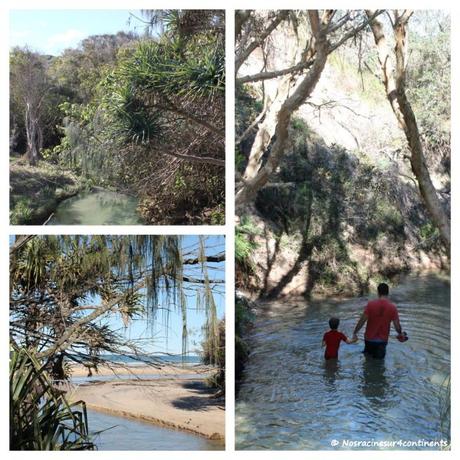 Eli Creek, Fraser Island - 2012