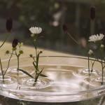 DECO : De délicats vases flottants