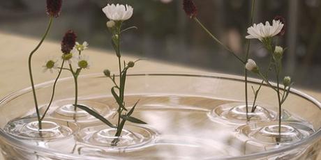 DECO : De délicats vases flottants