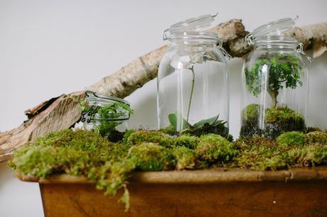 Idées vertes pour recycler les bocaux