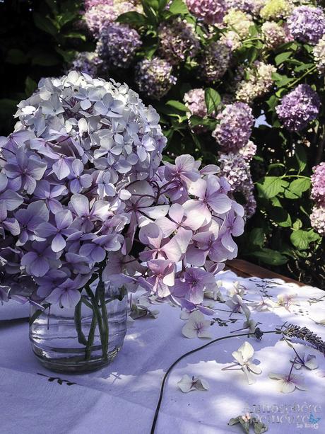 Ode à l'hortensias