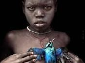 Nuits Photographiques Pierrevert 2015 7ème Édition