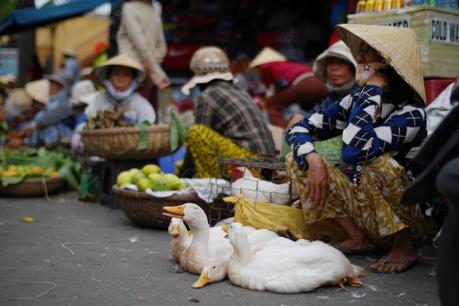 Chroniques vietnamiennes : Hoi An la lumineuse...