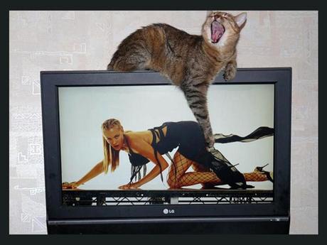 Divers - De drôles de photos