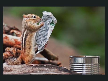 Divers - De drôles de photos