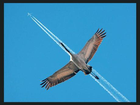 Divers - De drôles de photos