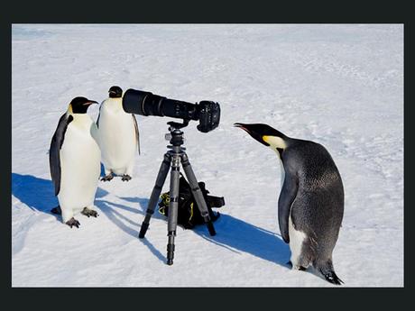 Divers - De drôles de photos