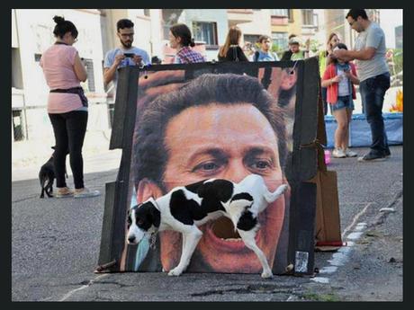 Divers - De drôles de photos