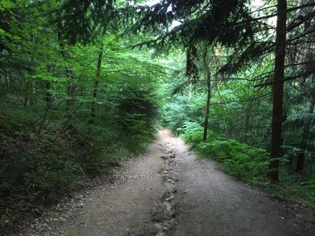 Chemins d'été dans le Forez