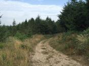 Chemins d'été dans Forez