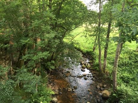Chemins d'été dans le Forez
