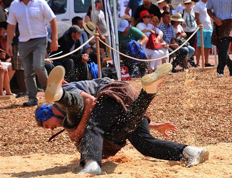 Sans titre9aaaaaaaaa.jpg