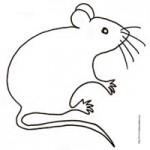 illustration de souris