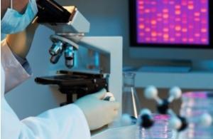 LEUCODYSTROPHIES: Découverte d'un nouveau gène de susceptibilité – Nature Communications