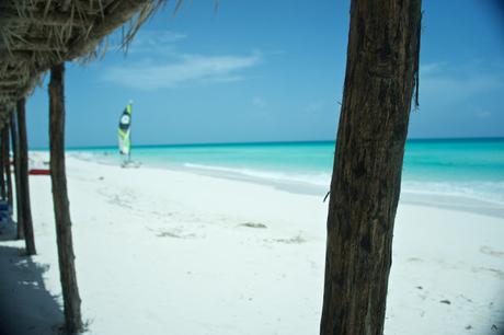 Petit coin du ciel Petit coin du ciel