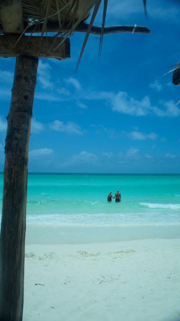 Petit coin du ciel Petit coin du ciel