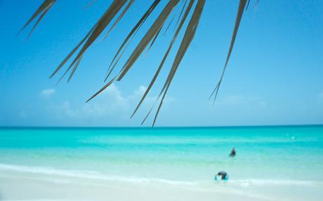 Petit coin du ciel Petit coin du ciel