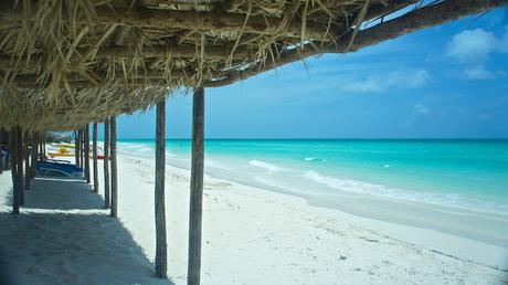 Petit coin du ciel Petit coin du ciel