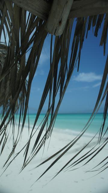 Petit coin du ciel Petit coin du ciel