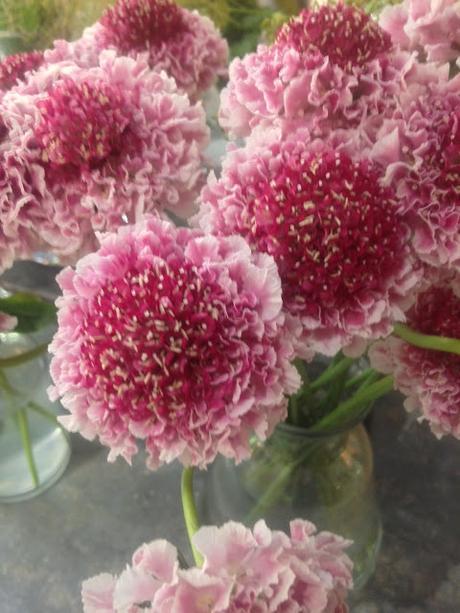 Mes adresses parisiennes#2 : Les Mauvaises Graines