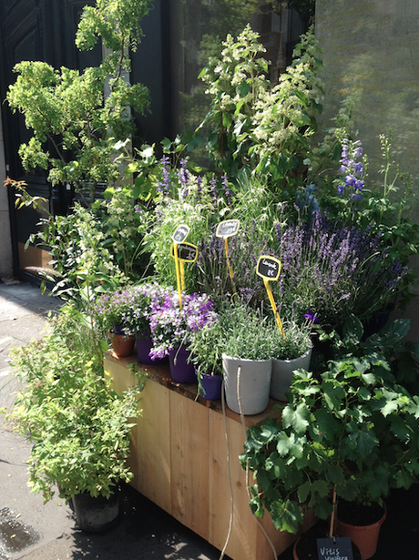 Mes adresses parisiennes#2 : Les Mauvaises Graines