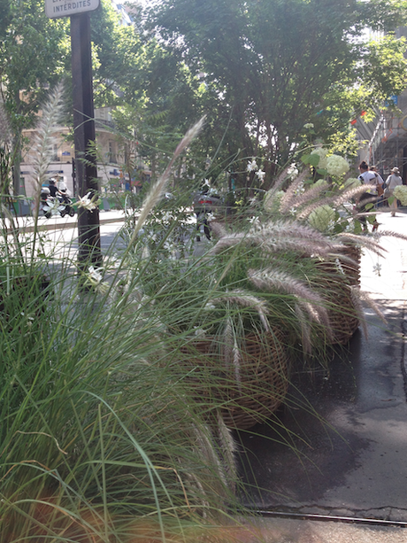 Mes adresses parisiennes#2 : Les Mauvaises Graines