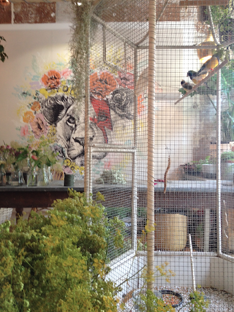 Mes adresses parisiennes#2 : Les Mauvaises Graines