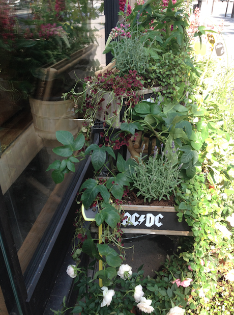 Mes adresses parisiennes#2 : Les Mauvaises Graines