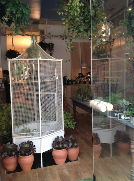 Mes adresses parisiennes#2 : Les Mauvaises Graines