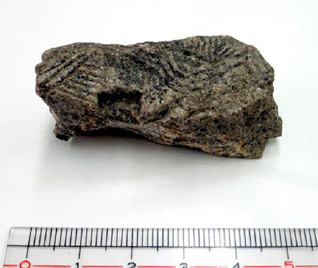 Un ancien moule à miroir découvert au Japon