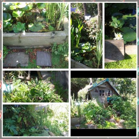 Pour le plaisir des yeux.