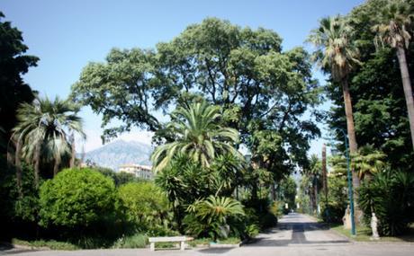 L'été sur la Côte d'Azur: Menton. L'été sur la Côte d'Azur: Menton.
