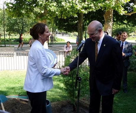 Un arbre mexicain au Jardin des Plantes pour la visite d'État du Président mexicain en France