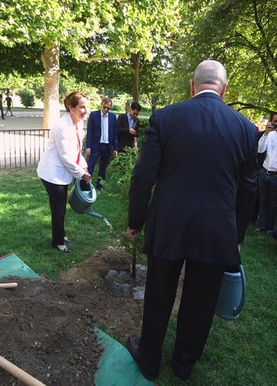 Un arbre mexicain au Jardin des Plantes pour la visite d'État du Président mexicain en France
