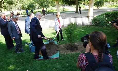 Un arbre mexicain au Jardin des Plantes pour la visite d'État du Président mexicain en France
