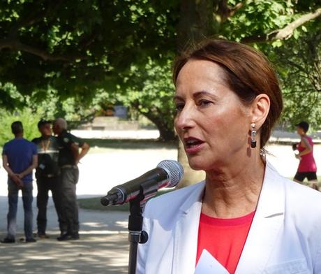 Un arbre mexicain au Jardin des Plantes pour la visite d'État du Président mexicain en France