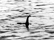 Hello Nessie!