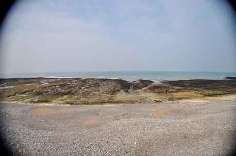 Deux Solitaires Face à la Mer