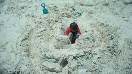 Toy Day #16 Toy Day #16