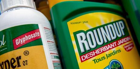 Le Roundup cancérigène : Monsanto était au courant depuis plus de 30 ans, selon un chercheur