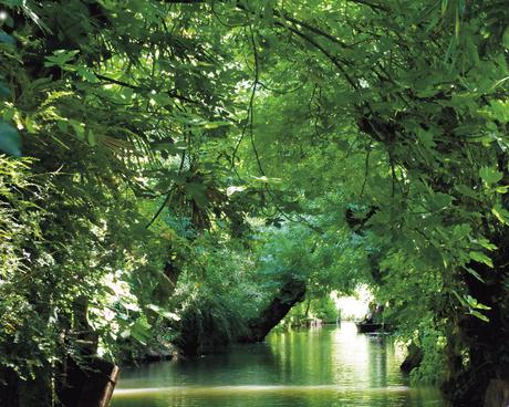 Avec ou sans batelier, cap sur les canaux du Marais poitevin, surnommés la Venise verte.  