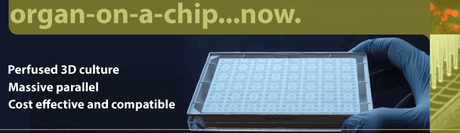 Capture d’écran 2015-07-19 à 11.53.06