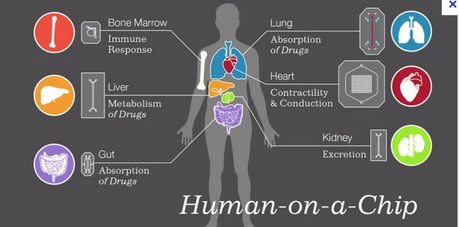 Capture d’écran 2015-07-19 à 11.21.48