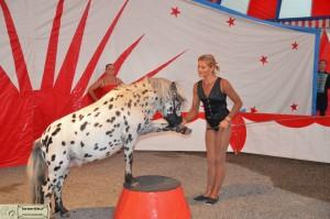 11752477_867327296648533_5406209063090955257_n