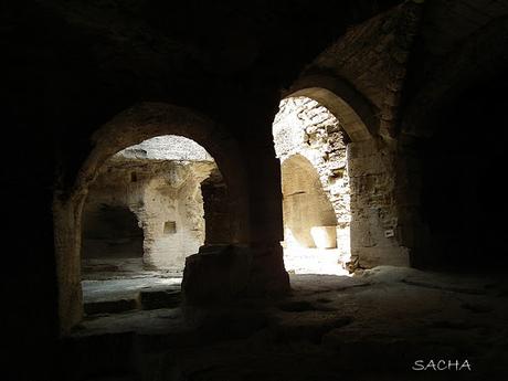 Jambon persillé au canard , balade en clichés et diaporama à l'abbaye troglodytique de St Roman de l'Aiguille + Ermitage du Mont Aiguille