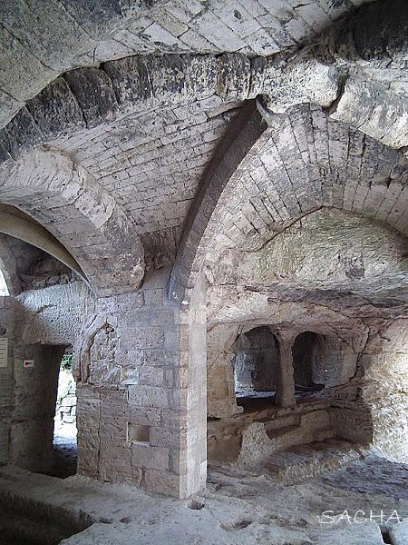 Jambon persillé au canard , balade en clichés et diaporama à l'abbaye troglodytique de St Roman de l'Aiguille + Ermitage du Mont Aiguille