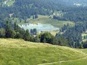 Beaux lacs bavarois: Wildensee (Mittenwald)