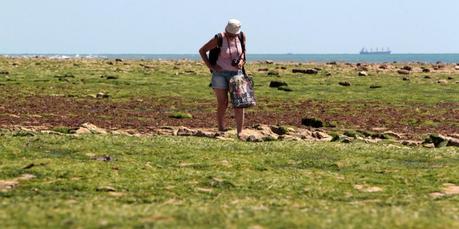 Les laisses de mer, tu ne nettoieras point