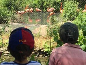 Notre visite au Zoo des Sables d’Olonne #vendée #zoo #LesSablesdOlonne